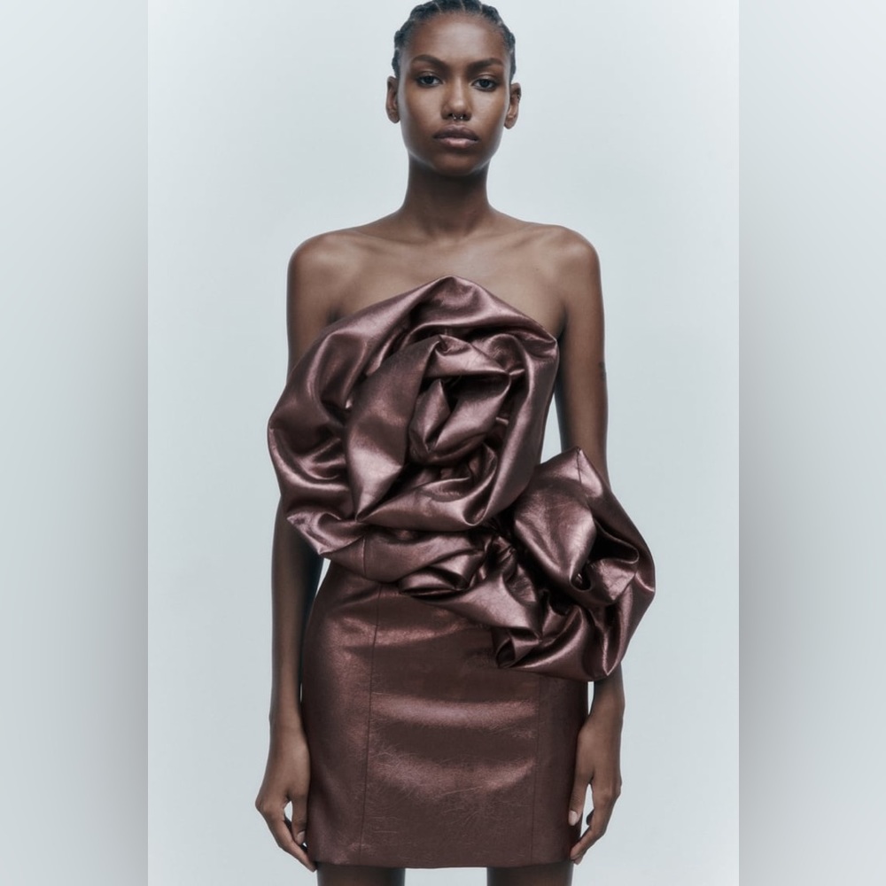 Zara NWT Size Small VOLUMINOUS FLOWER DRESS